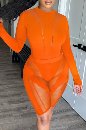 Orange Fashion Sexy Solid Patchwork See-through O Neck Long Sleeve Two Pieces