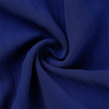 Bleu Mode Décontracté Solide Patchwork Transparent Col V Manches Longues Deux Pièces Bleu
