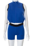 Синий Повседневная спортивная одежда Пэчворк с принтом Воротник на молнии Без рукавов Из двух частей
