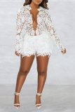White Sexy Patchwork Lace V Neck Long Sleeve Two Pieces