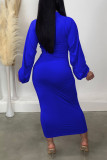 ブルー カジュアル ソリッド パッチワーク フォールド ジッパー ジッパー カラー ワンステップ スカート ドレス