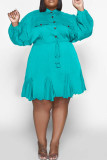 アーミーグリーン カジュアル ソリッド パッチワーク バックル フォールド ターンダウン カラー ストレート プラスサイズ ドレス