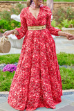 Rode Casual Sweet Print Patchwork V-hals Grote maten jurken