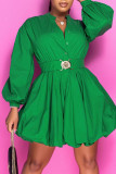 Светло-зеленые модные повседневные однотонные платья в стиле пэчворк с пряжкой и воротником-стойкой