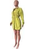 Green Yellow Casual Solid Patchwork Turndown Collar Long Sleeve Dresses