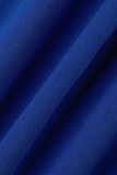 Azul Casual Sólido Patchwork Fold Stringy Selvedge O Neck A Line Vestidos
