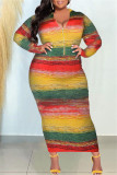 Vestidos de retalhos multicoloridos com estampa casual meia gola alta manga longa plus size