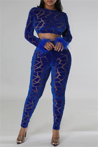 Blue Sexy Casual Patchwork Feathers O Neck Long Sleeve Two Pieces