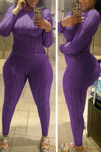 Purple Casual Solid Patchwork O Neck Long Sleeve Two Pieces
