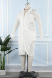 Blanc Casual Solide Patchwork Fermeture Éclair Col V Manches Longues Plus La Taille Robes
