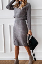 Grey Casual Solid Basic Turtleneck Long Sleeve Two Pieces