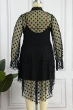 Black Sexy Casual Dot Hollowed Out See-through O Neck Long Sleeve Plus Size Two Pieces