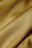 Dunkelgrün Freizeit Solide Patchwork O-Ausschnitt Lange Ärmel Plissee Kleider (Ohne Gürtel)