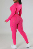 Roze Roze Casual Solide Doorschijnend O-hals Lange mouw Tweedelige kleding