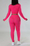 Rose Pink Casual Solid See-through O Neck Long Sleeve Two Pieces