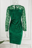 Grön Casual Solid Patchwork Genomskinlig O-hals långärmade klänningar