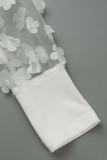 Kaki Elegant Solid Patchwork Genomskinliga Halv A Turtleneck Pencil Skirt Klänningar