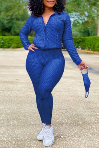 Blue Casual Solid Patchwork Zipper Collar Long Sleeve Two Pieces (With Mask)