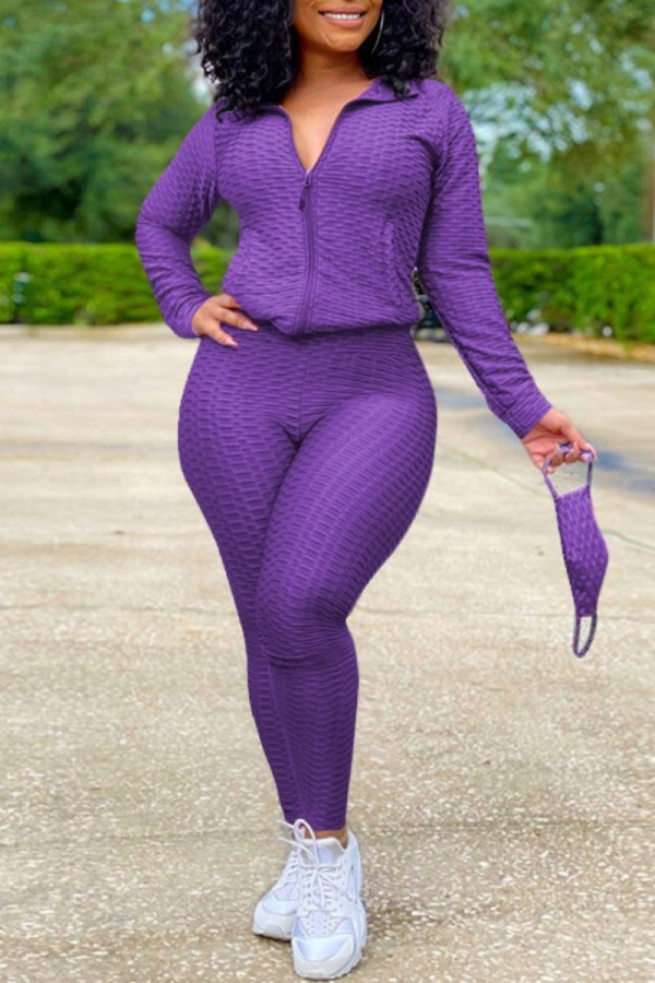Purple Casual Solid Patchwork Zipper Collar Long Sleeve Two Pieces (With Mask)