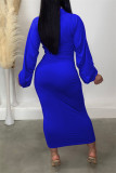 ロイヤル ブルー カジュアル ソリッド パッチワーク ジッパー カラー ロング スリーブ ドレス