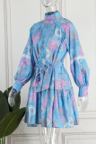 Blauwgrijs Casual Sweet Print Patchwork Halve coltrui A-lijn jurken