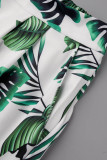 Due pezzi manica lunga colletto rovesciato stampa casual verde patchwork