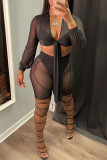 Black Sexy Solid See-through V Neck Long Sleeve Four Piece Set