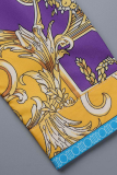 Gola dobrada dourada com estampa casual patchwork manga longa duas peças