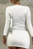 Blanco Casual Sólido Básico Cuello Alto Manga Larga Vestidos