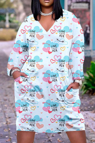 Light Blue Casual Print Basic V Neck Long Sleeve Dresses