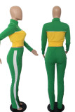 Зеленый Повседневная спортивная одежда Твердые Пэчворк Молния Длинный рукав Из двух частей