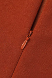 Braun Rot Elegant Solid Patchwork Falten Schrägkragen One Step Rock Kleider