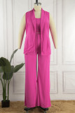 Rose Red Casual Solid Basic Turndown Collar Plus Size Three Piece Set