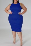Blau Casual Solid Basic O-Ausschnitt ärmellose Kleid Kleider