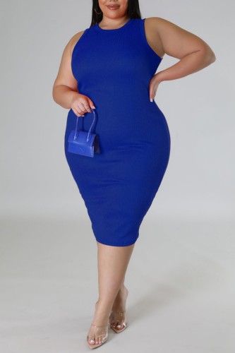 Blue Casual Solid Basic O Neck Sleeveless Dress Dresses