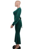Grün Casual Solid Basic V-Ausschnitt Langarm-Kleider