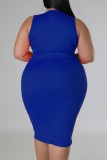 Blauw Casual Solid Basic O-hals mouwloze jurkjurken