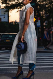 White Street Solid Patchwork Spänne Genomskinlig turndown-krage Raka klänningar