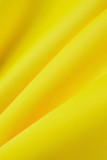 イエロー カジュアル スイート エレガント ソリッド パッチワーク フォールド ジッパー ジッパー カラー A ライン プラス サイズ ドレス