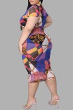 カラー カジュアル プリント ベーシック タートルネック 半袖ドレス プラスサイズドレス