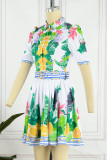 Green Casual Elegant Print Patchwork Buckle Fold With Belt Turndown Collar A Line Dresses