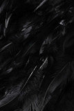 Noir Sexy Élégant Solide Bandage Patchwork Plumes V Cou Une Étape Jupe Robes