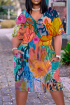 Цветные повседневные уличные принты Пэчворк с V-образным вырезом Прямые платья