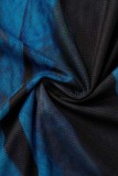 Blue Black Sexy Print O Neck Long Sleeve Dresses