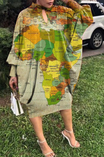 Green Casual Print Patchwork Half A Turtleneck Straight Dresses