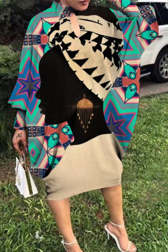 Decorative Pattern Casual Print Patchwork Half A Turtleneck Straight Dresses