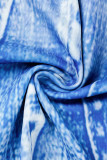 Blå Casual Print Basic O-hals långärmad två delar