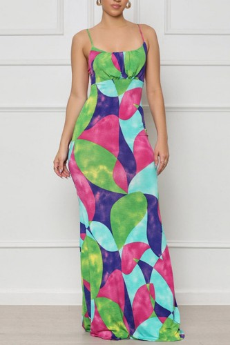 Colour Sexy Casual Print Backless Spaghetti Strap Long Dress Dresses