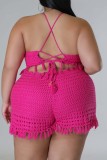 Rose Red Sexy Solid Tassel Frenulum Halter Plus Size Two Pieces