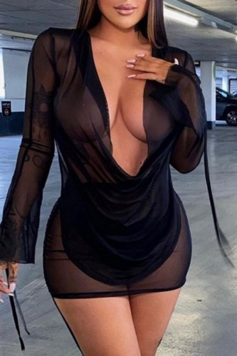 Black Sexy Solid See-through V Neck Long Sleeve Dresses